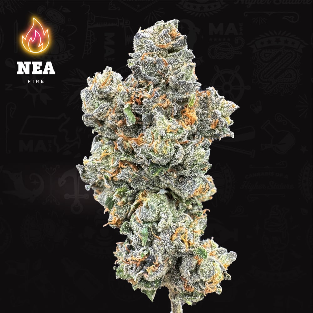 NEA Fire - Canal Street Runtz Flower