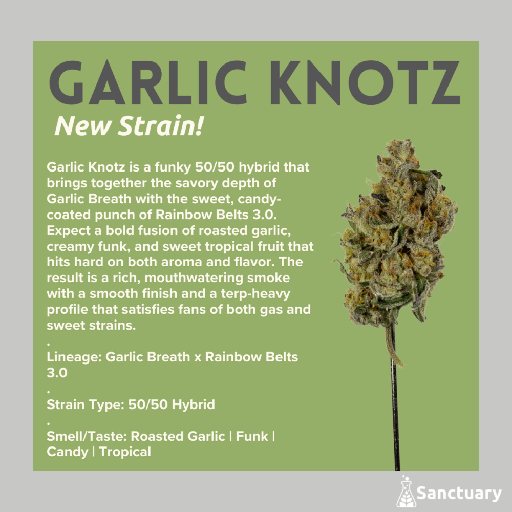 Sanctuary - Garlic Knotz Flower