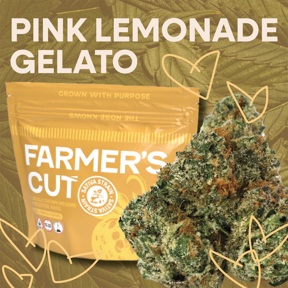 Farmer's Cut - Pink Lemonade Gelato Flower