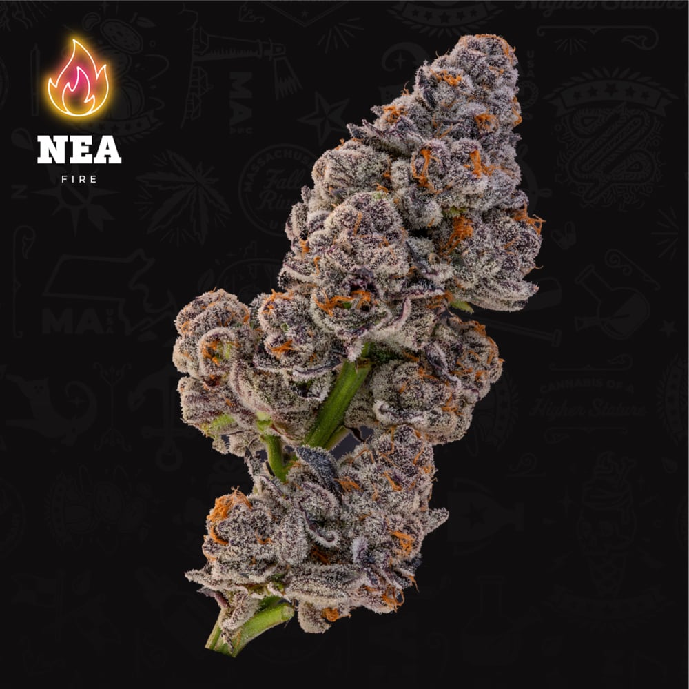 NEA Fire - Ice Cream Cake #2 Flower