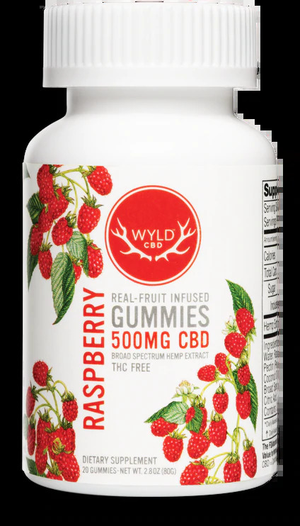 500mg Raspberry CBD Gummies (20-pack)