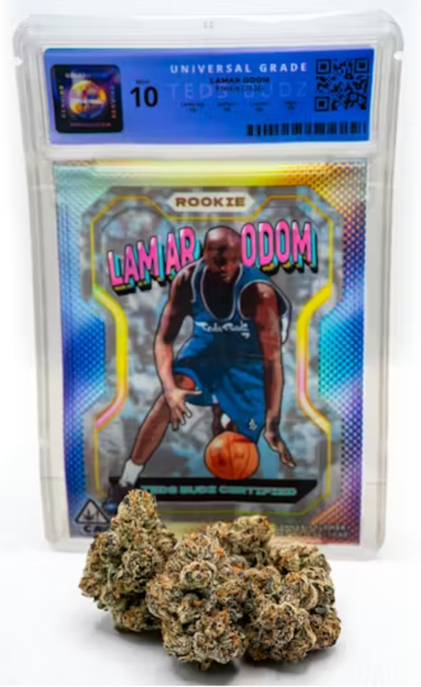 Lamar Odom