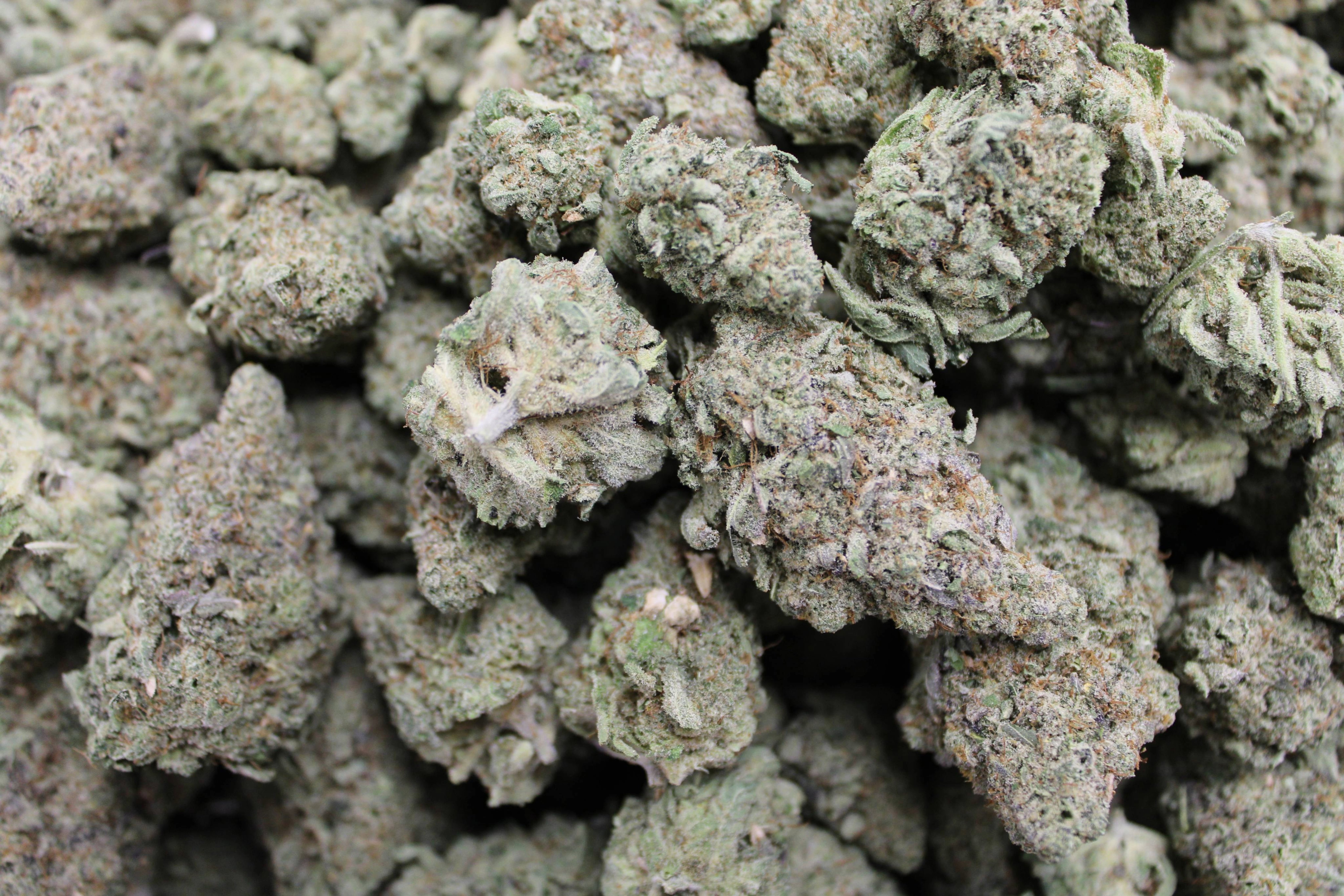 Kind Care - OC Skunk - Bulk Flower - Sativa Dominant