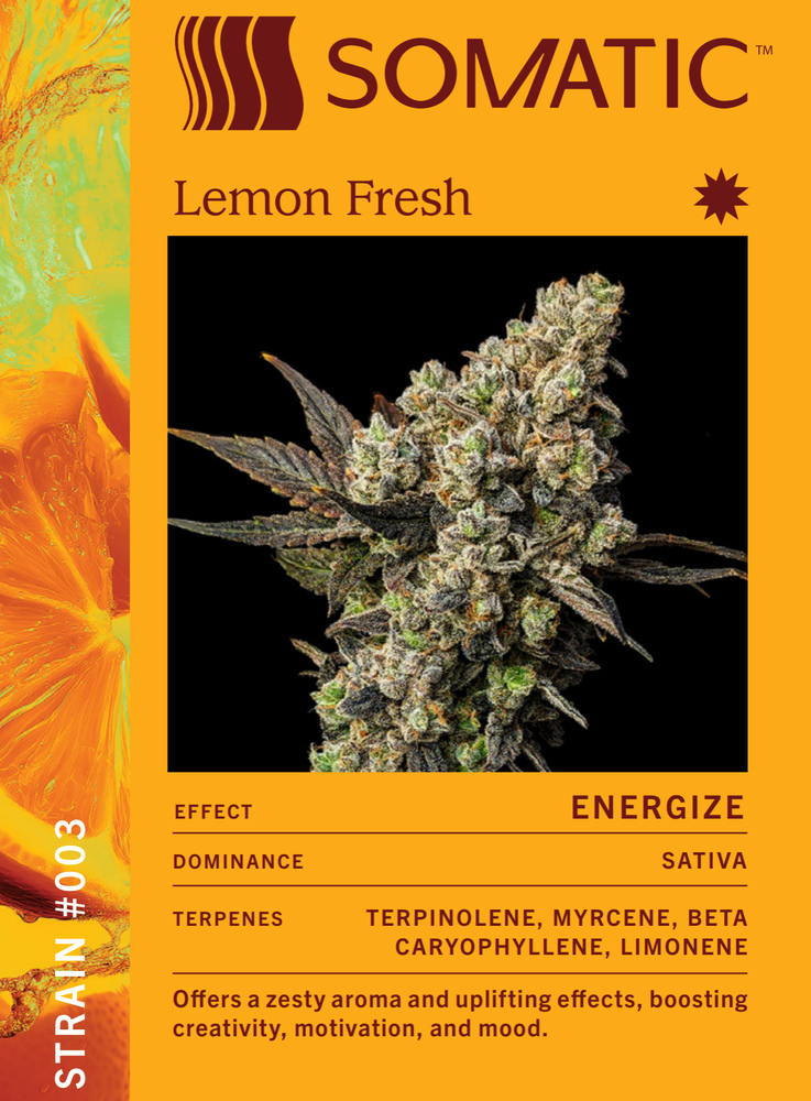 Lemon Fresh Lemon Fresh
