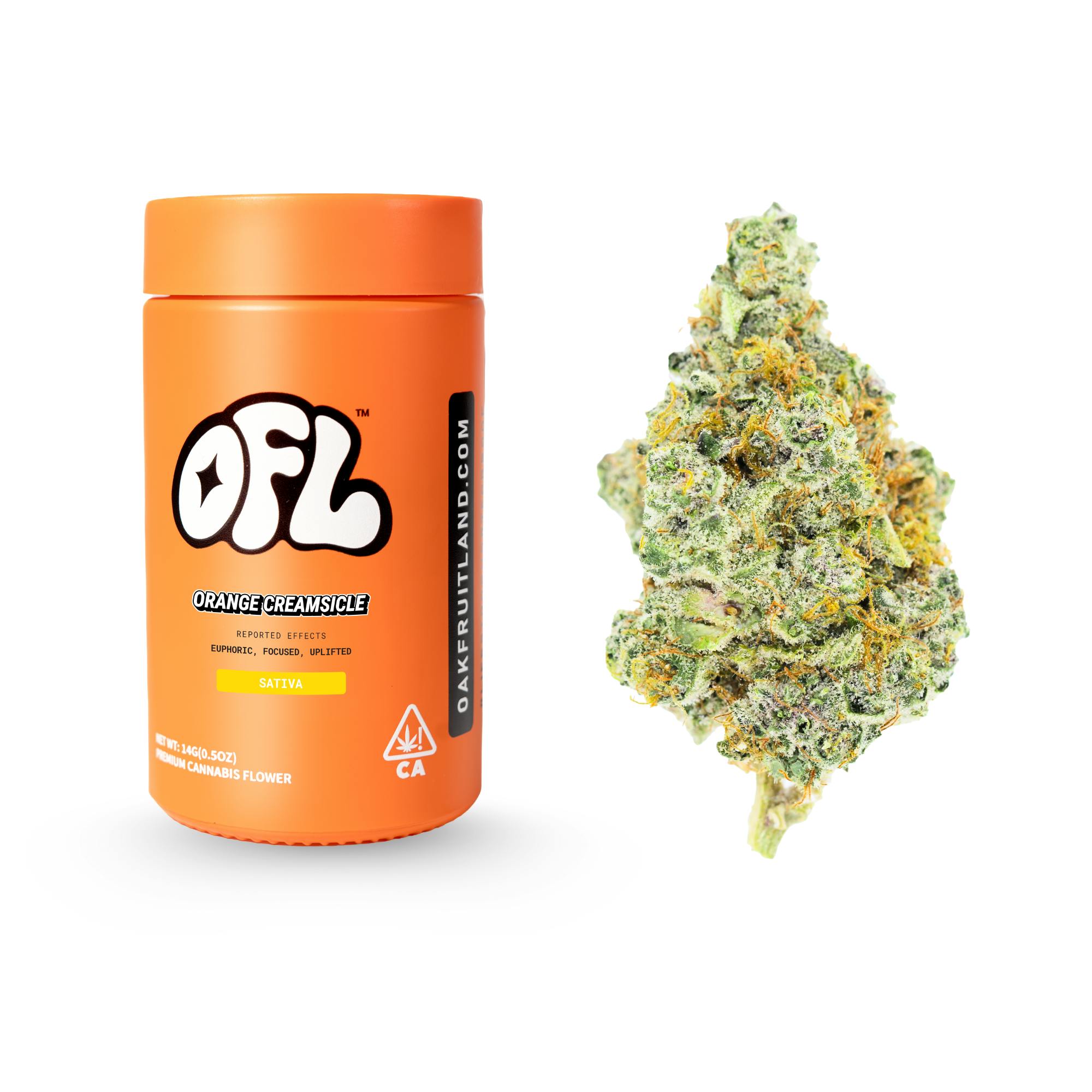 Orange Creamsicle