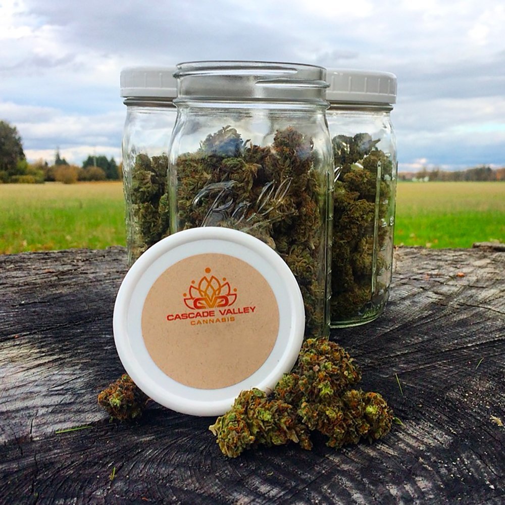 Grapefruit Diesel [10pk] Cascade Valley Cannabis Pre Roll Pack Jane