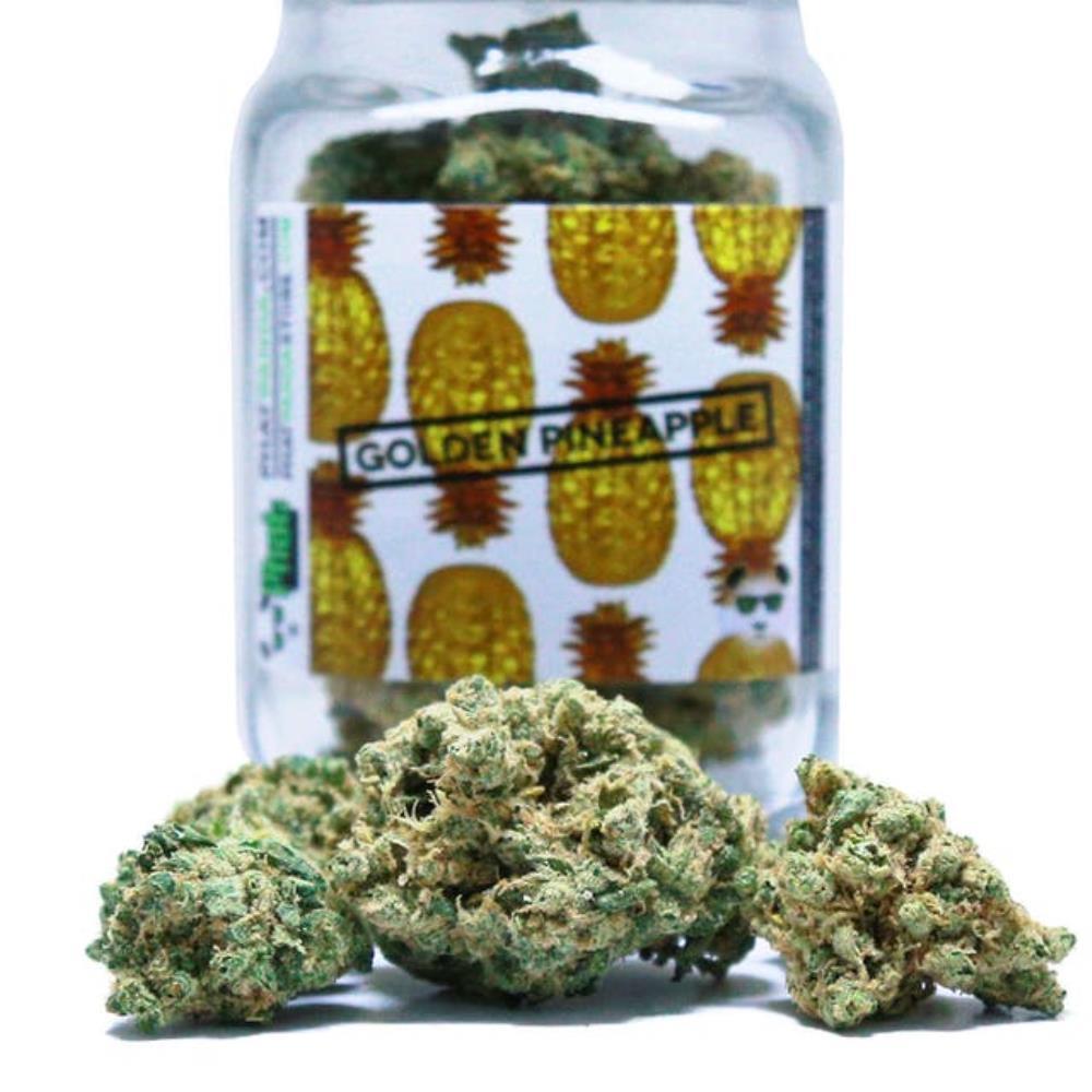 Golden Pineapple