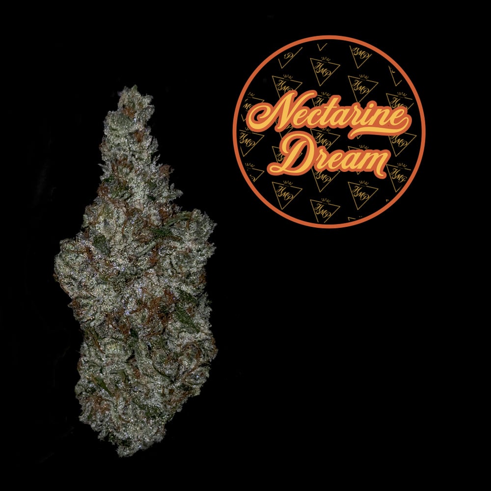 HighMark Provisions - Nectarine Dream Flower HighMark Provisions - Nectarine Dream Flower