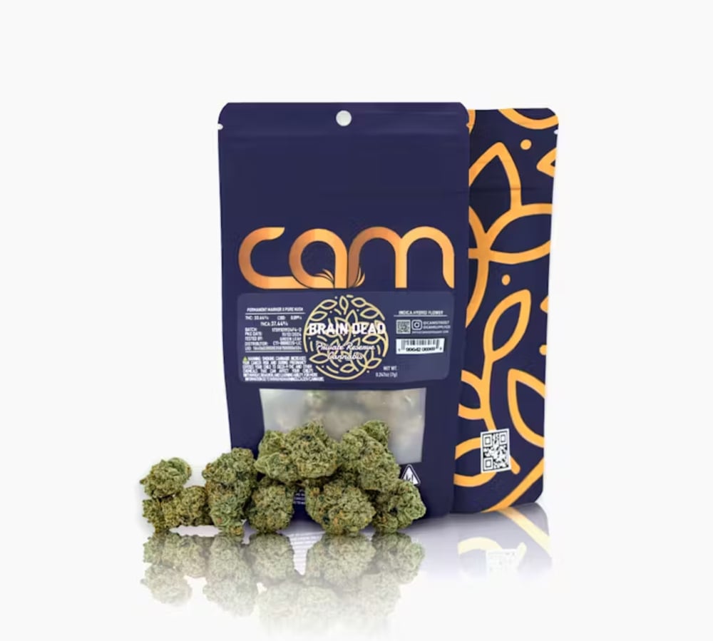 Brain Dead Brain Dead