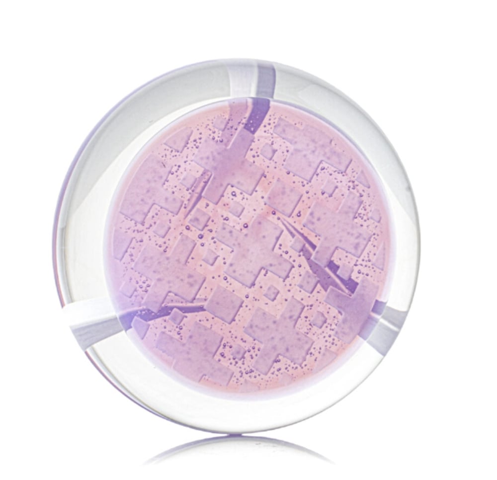 Str8glass Collab Spinner Disc - 1