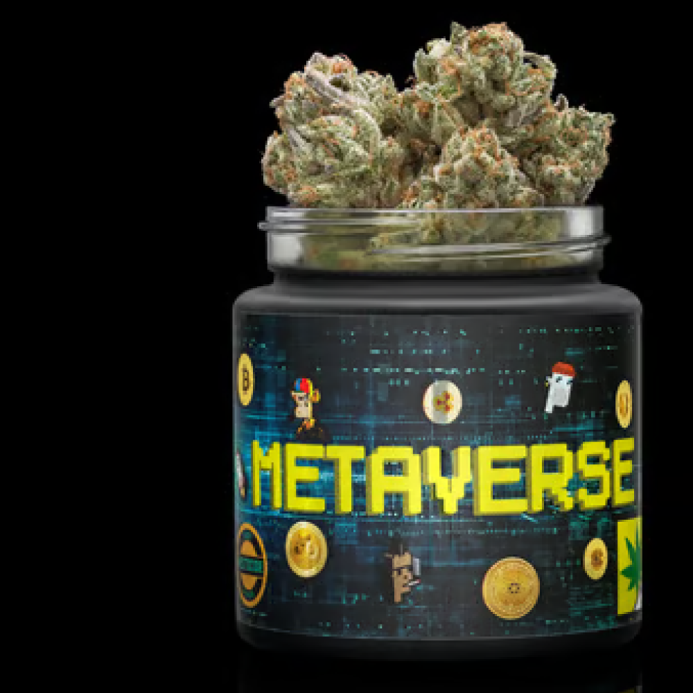 Metaverse