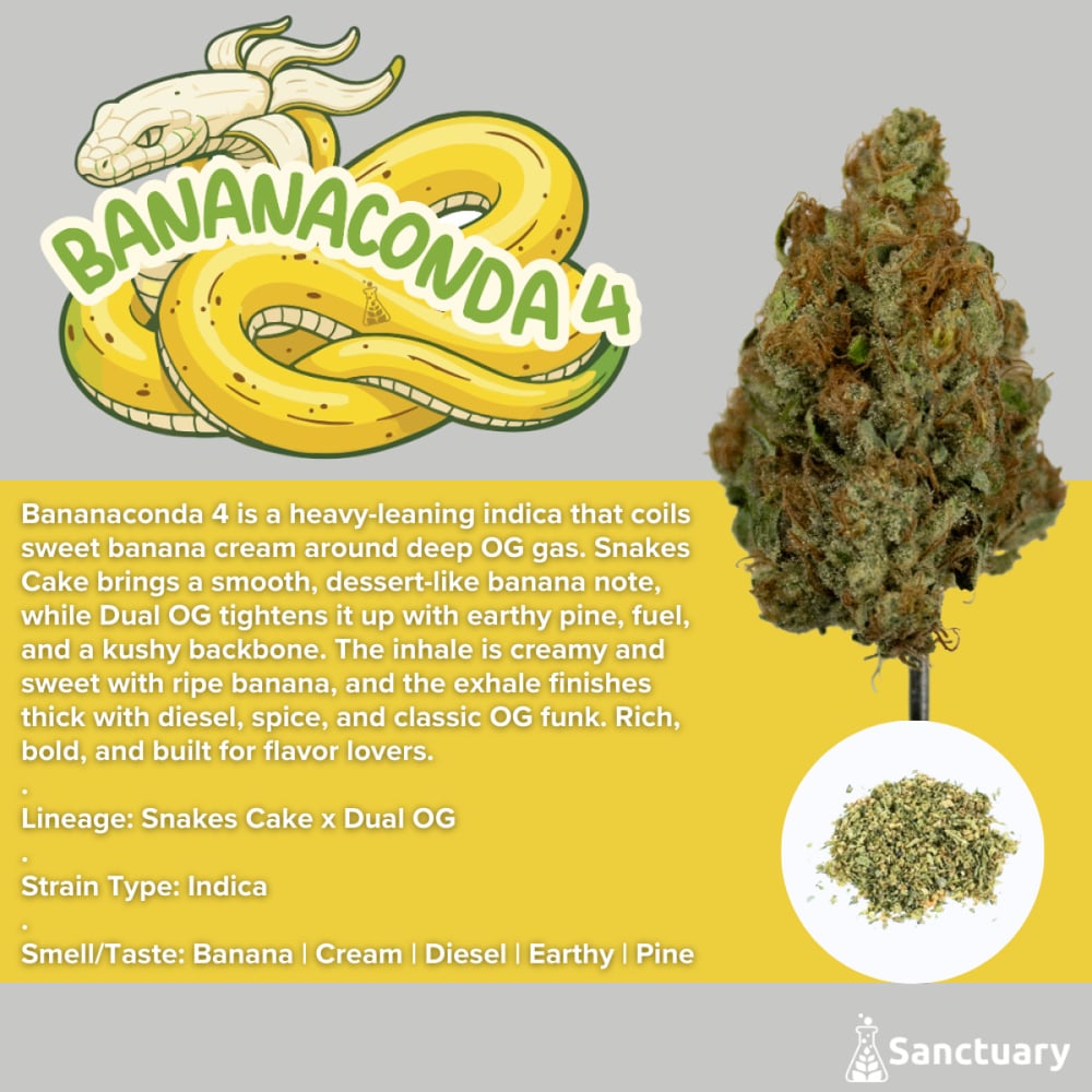 Sanctuary - Bananaconda 4 Shake Sanctuary - Bananaconda 4 Shake