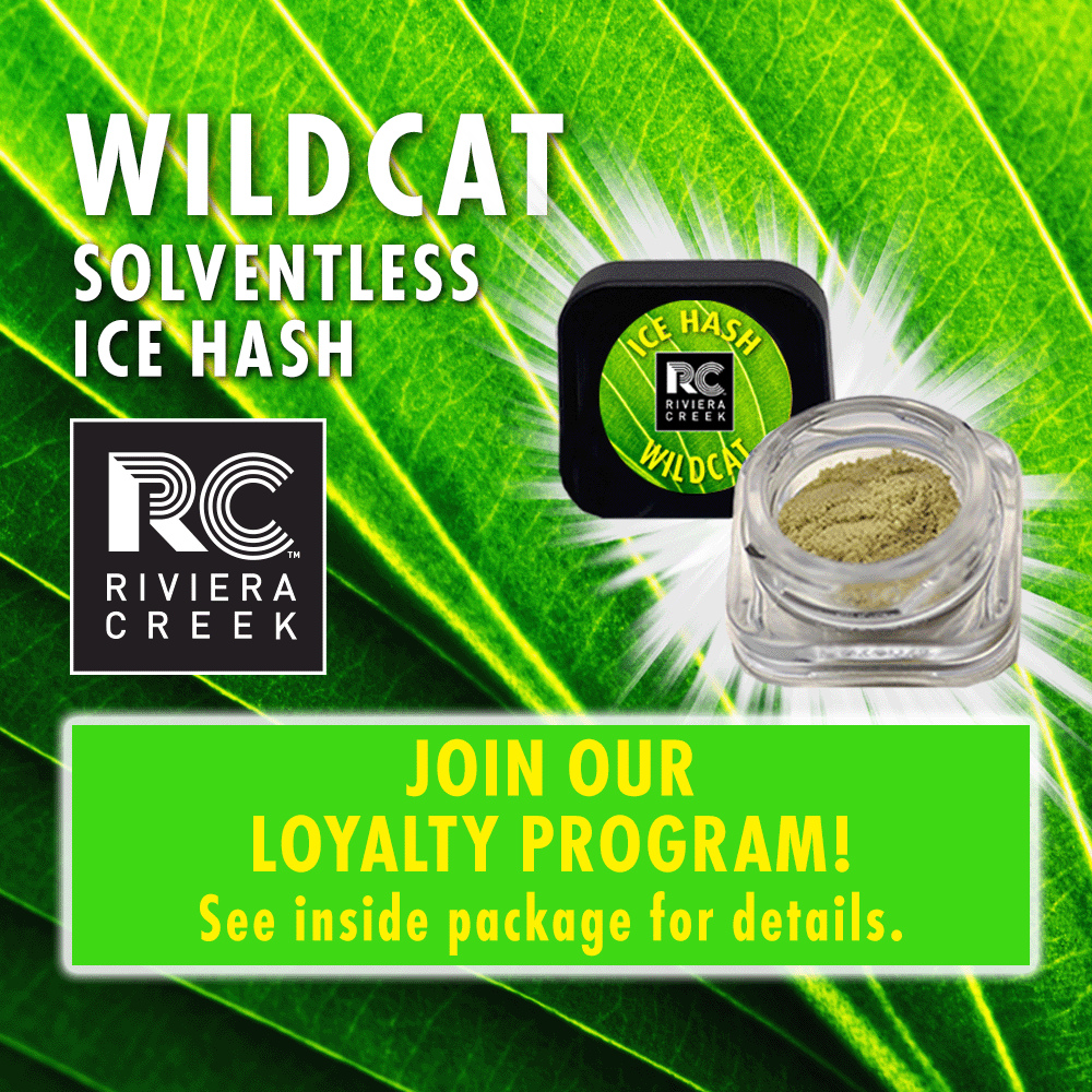 Wild Cat - 0.5g Hash - Sativa | Riviera Creek | Bloom