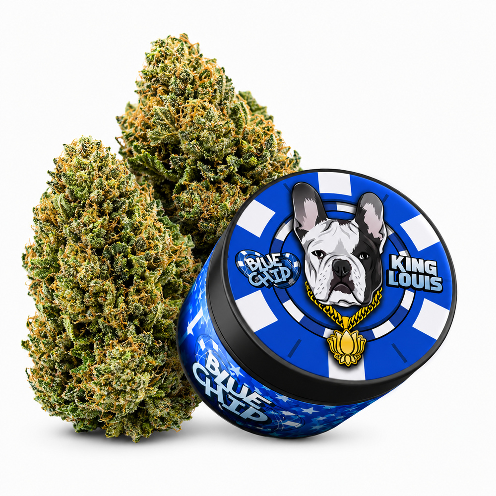 Blue Chip King Louis OG