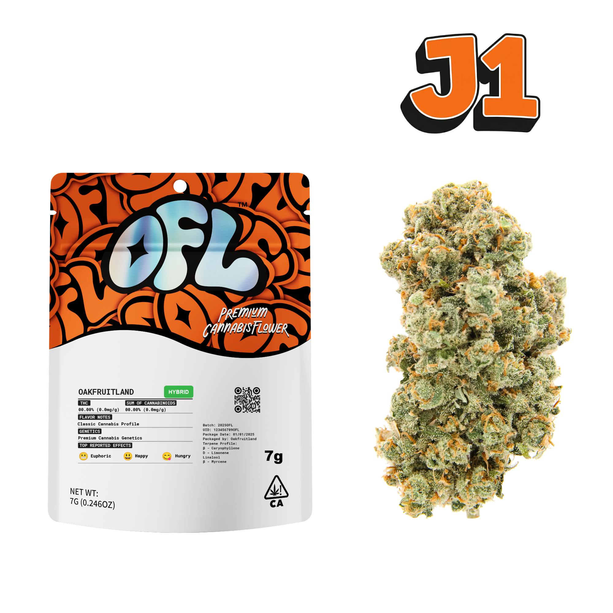 J1