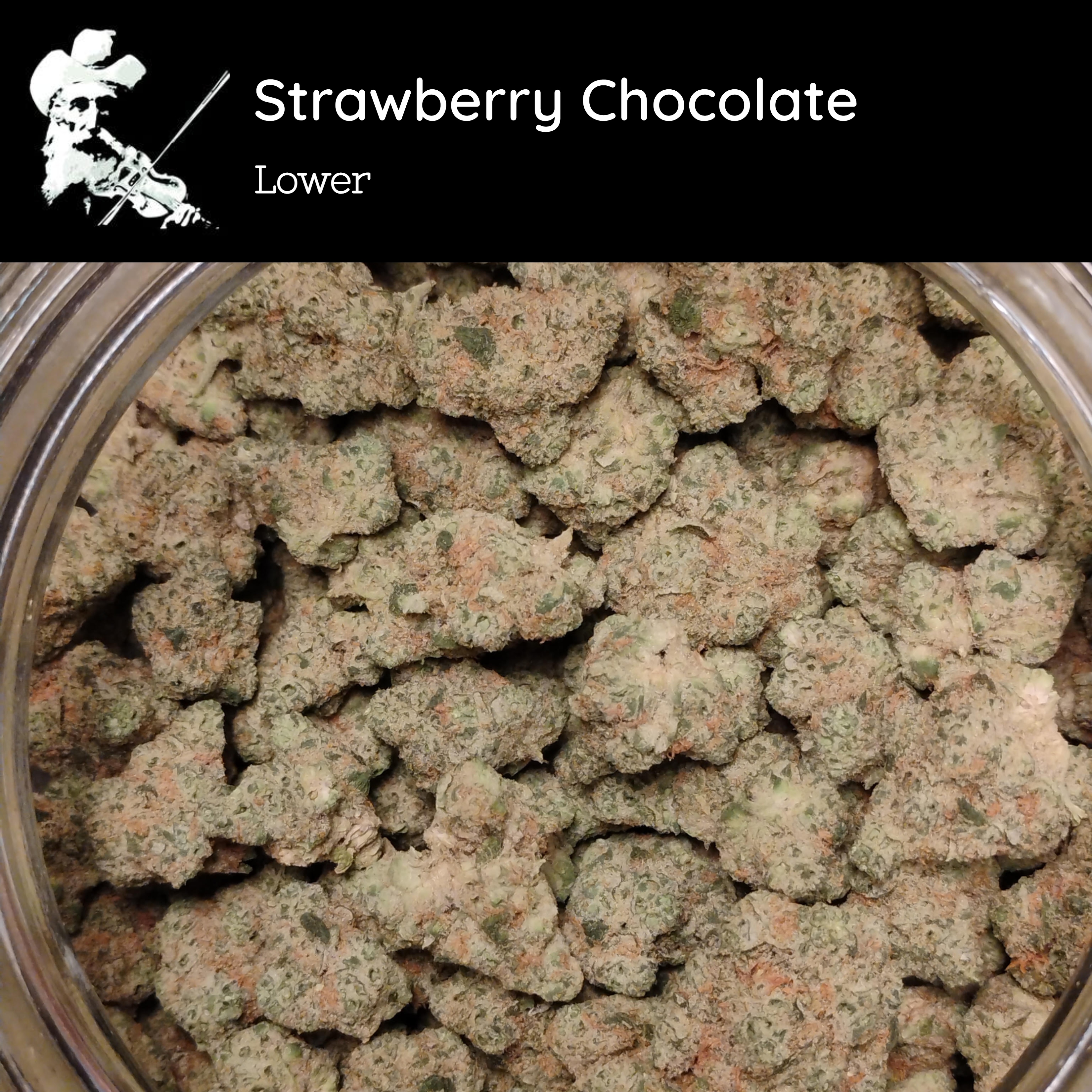 Strawberry Chocolate