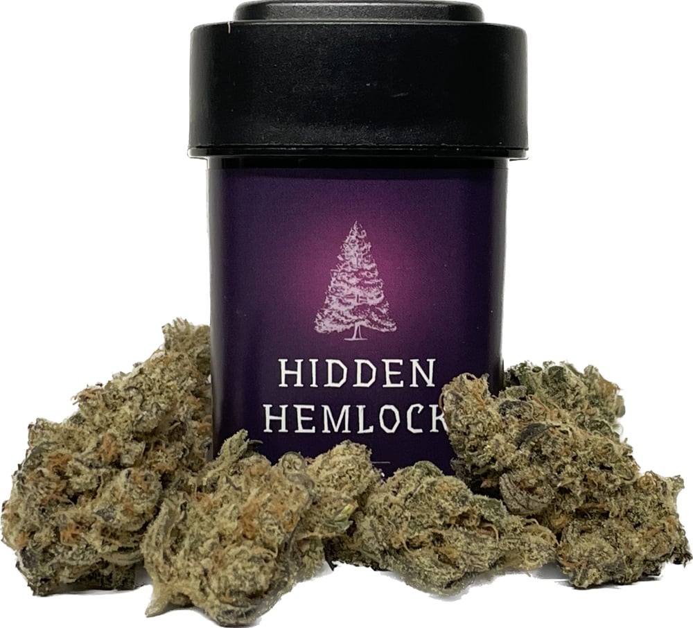 ALASKA OG kush H4CBH40％ HHBD40% Shop Alaskan Squeeze Buds | Full Harvest Moonz Dispensary