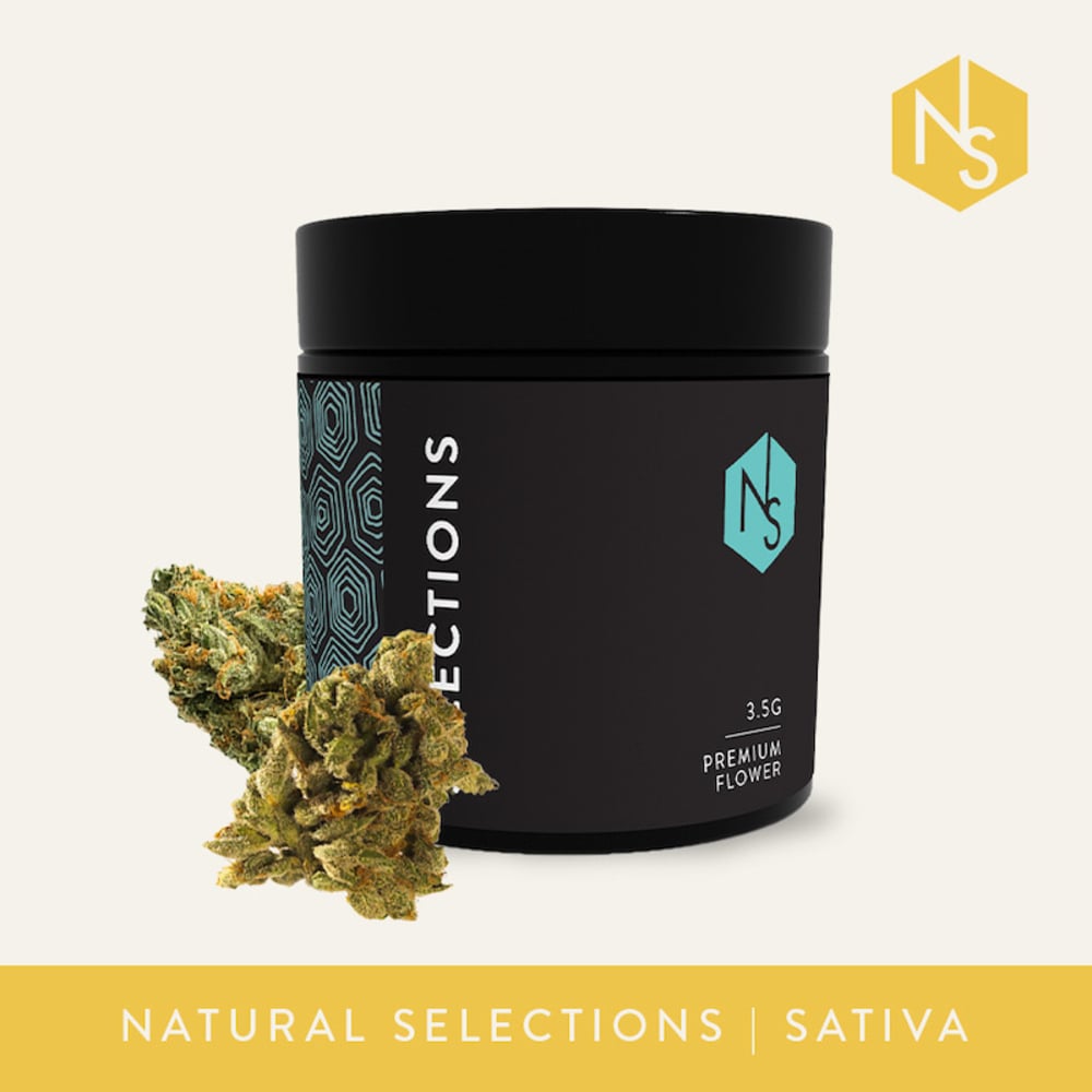 Natural Selections - Pura Vida Flower