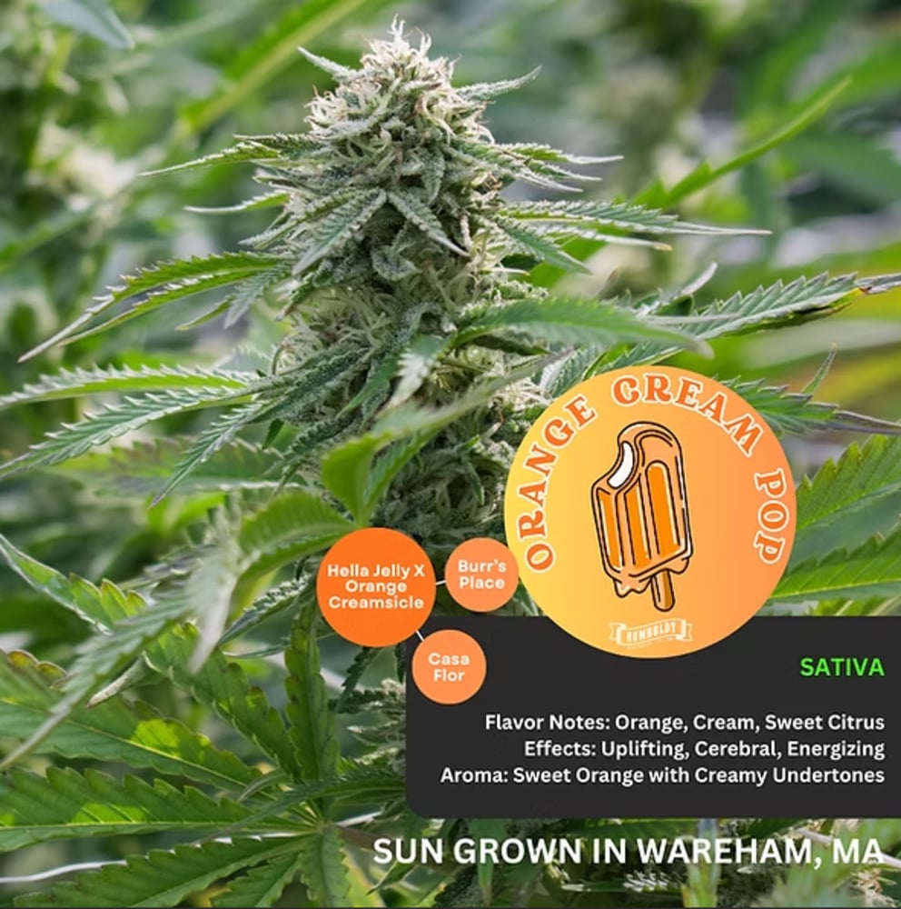 .5g Orange Cream Pop Pre Roll 2pk