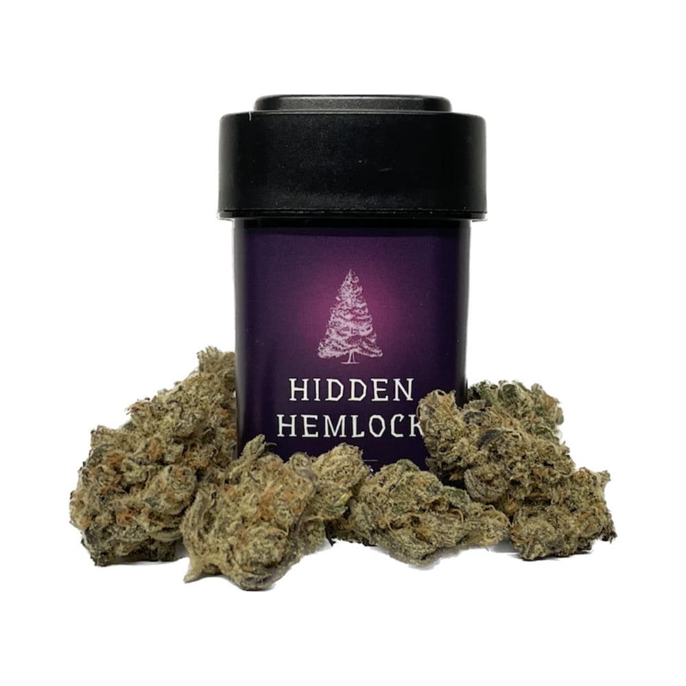 Hidden Hemlock - High Flyer Flower