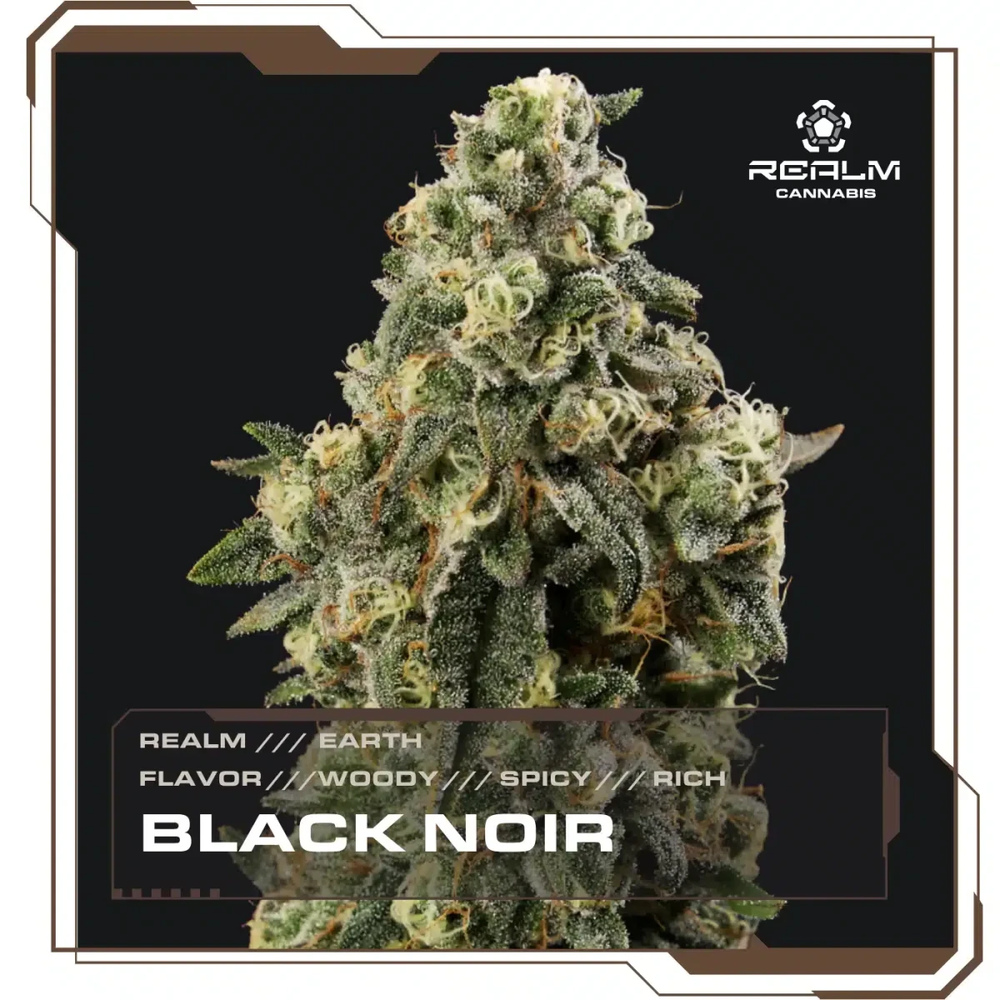 Realm - Black Noir Top Cut Flower