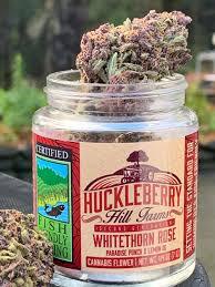 Whitethorn Rose