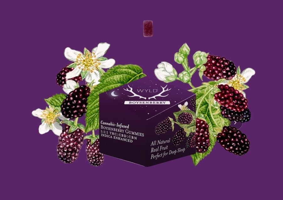 Boysenberry 1:1:1 CBD:CBN + Indica Enhanced Gummies | THC:CBD:CBN