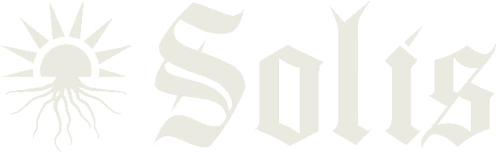 40 % off Solis special