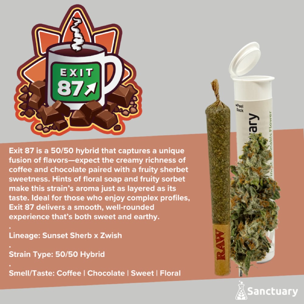 Sanctuary - Exit 87 Pre-Roll (1g)