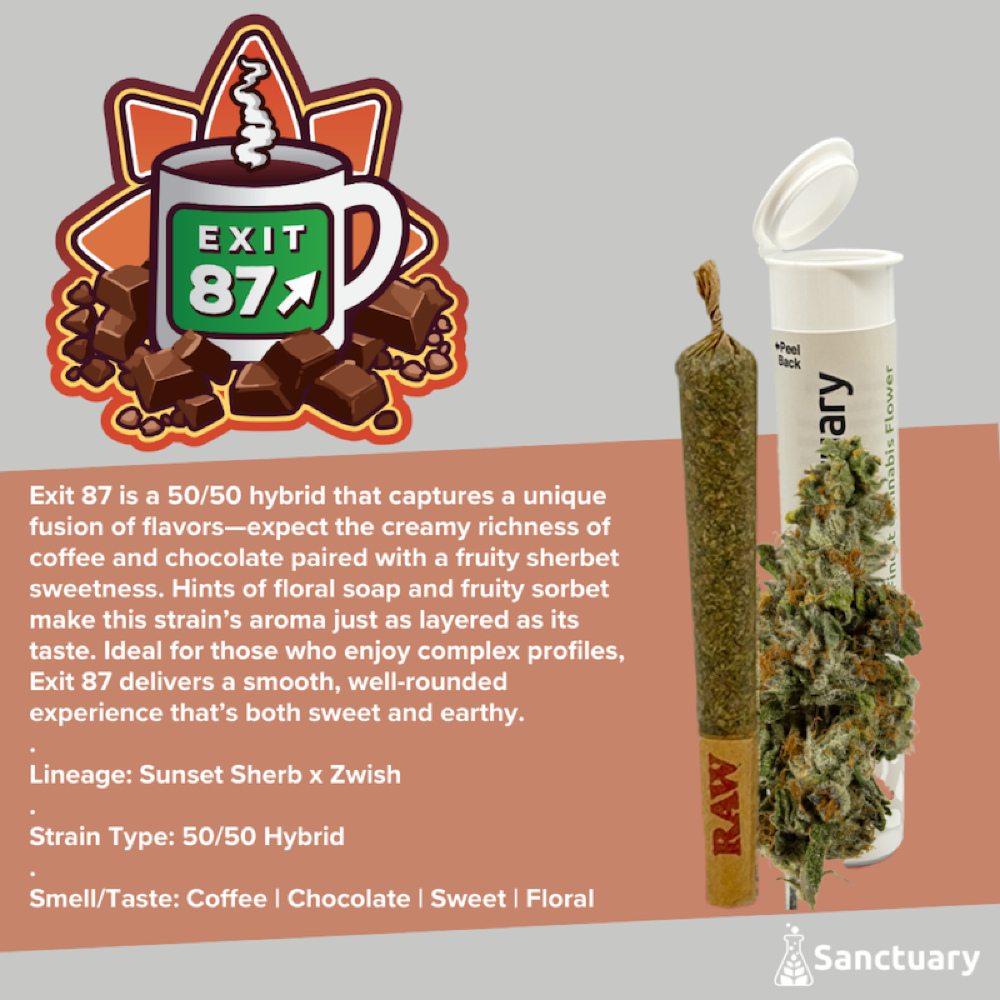 Sanctuary - Exit 87 Pre-Roll (1g)