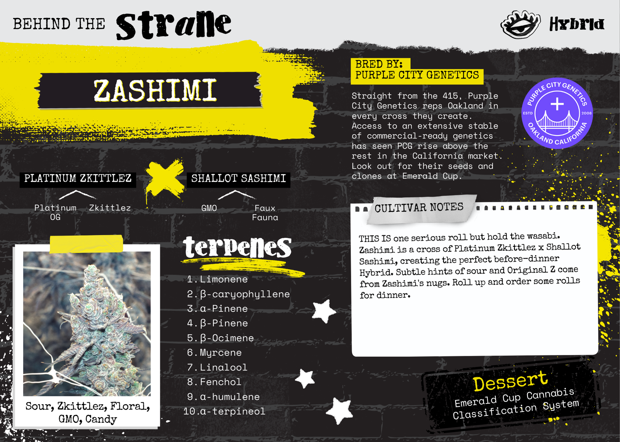 65e03216-9130-41bd-b460-