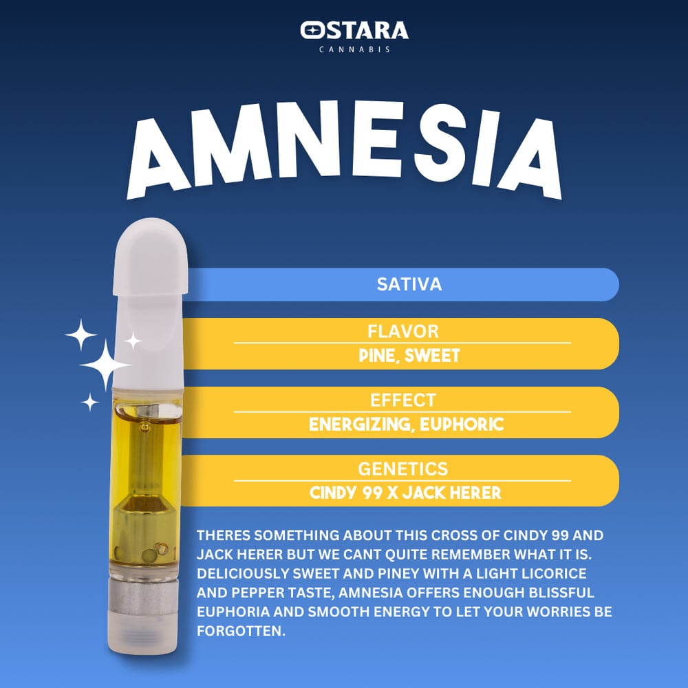 Amnesia
