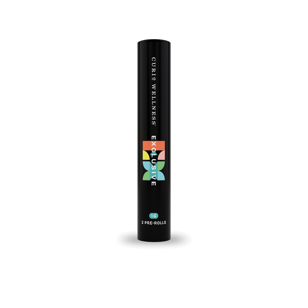 Cheddar Cheeze | Exclusive Pre Roll