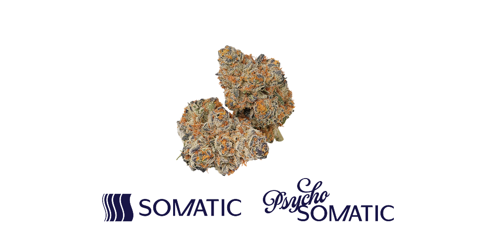 20% off Somatic & Psycho Somatic Flower! special photo
