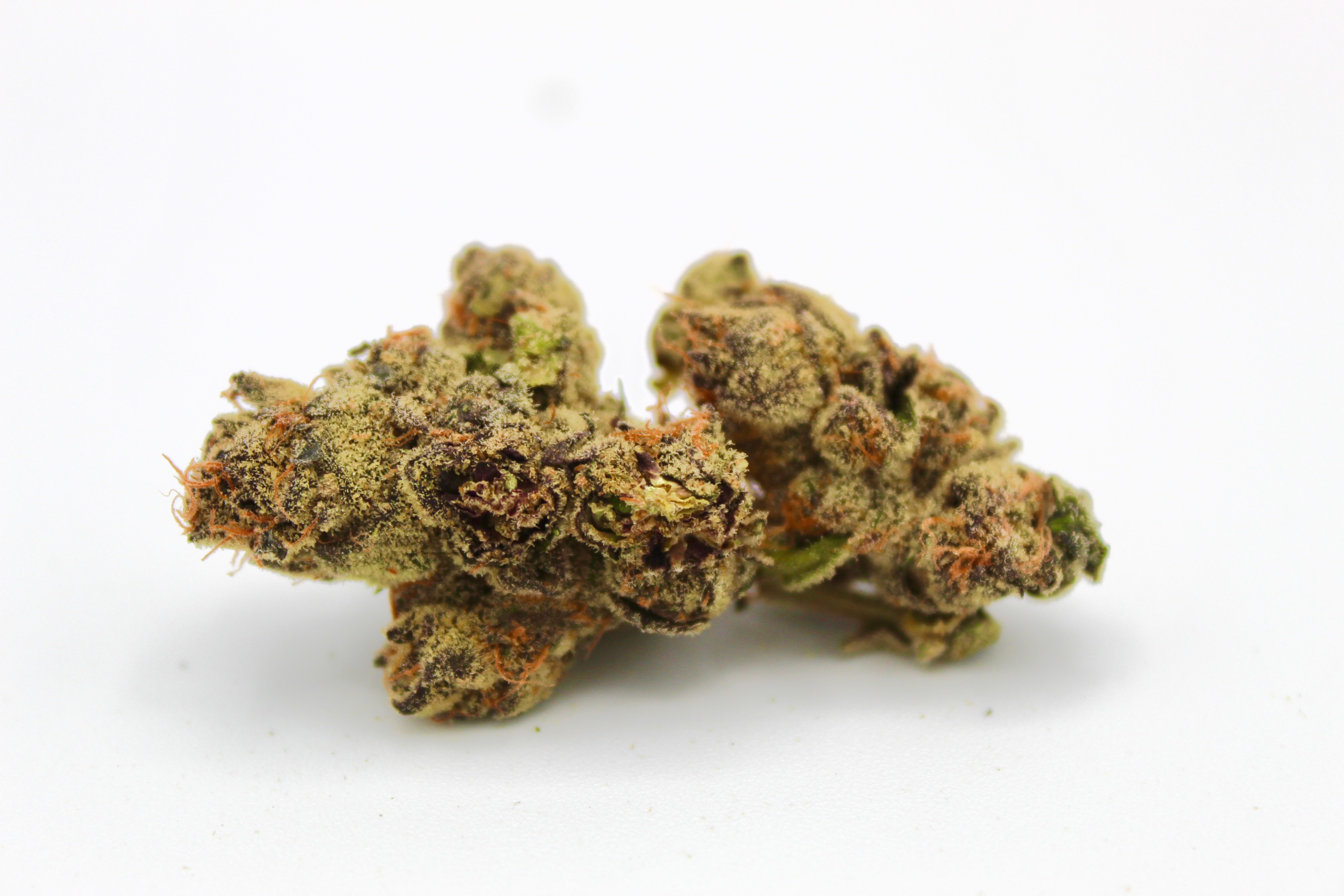 Gastro Pop - 1/8oz in Plymouth