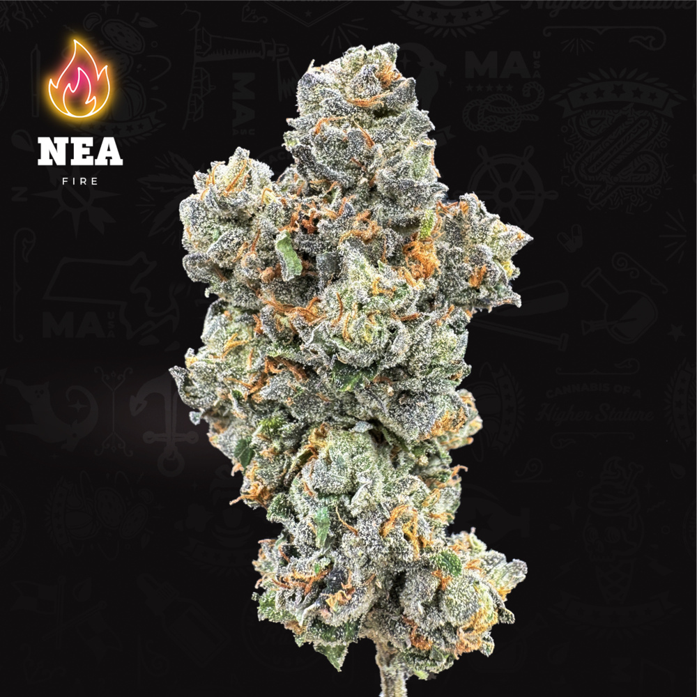 NEA Fire - Canal Street Runtz Flower