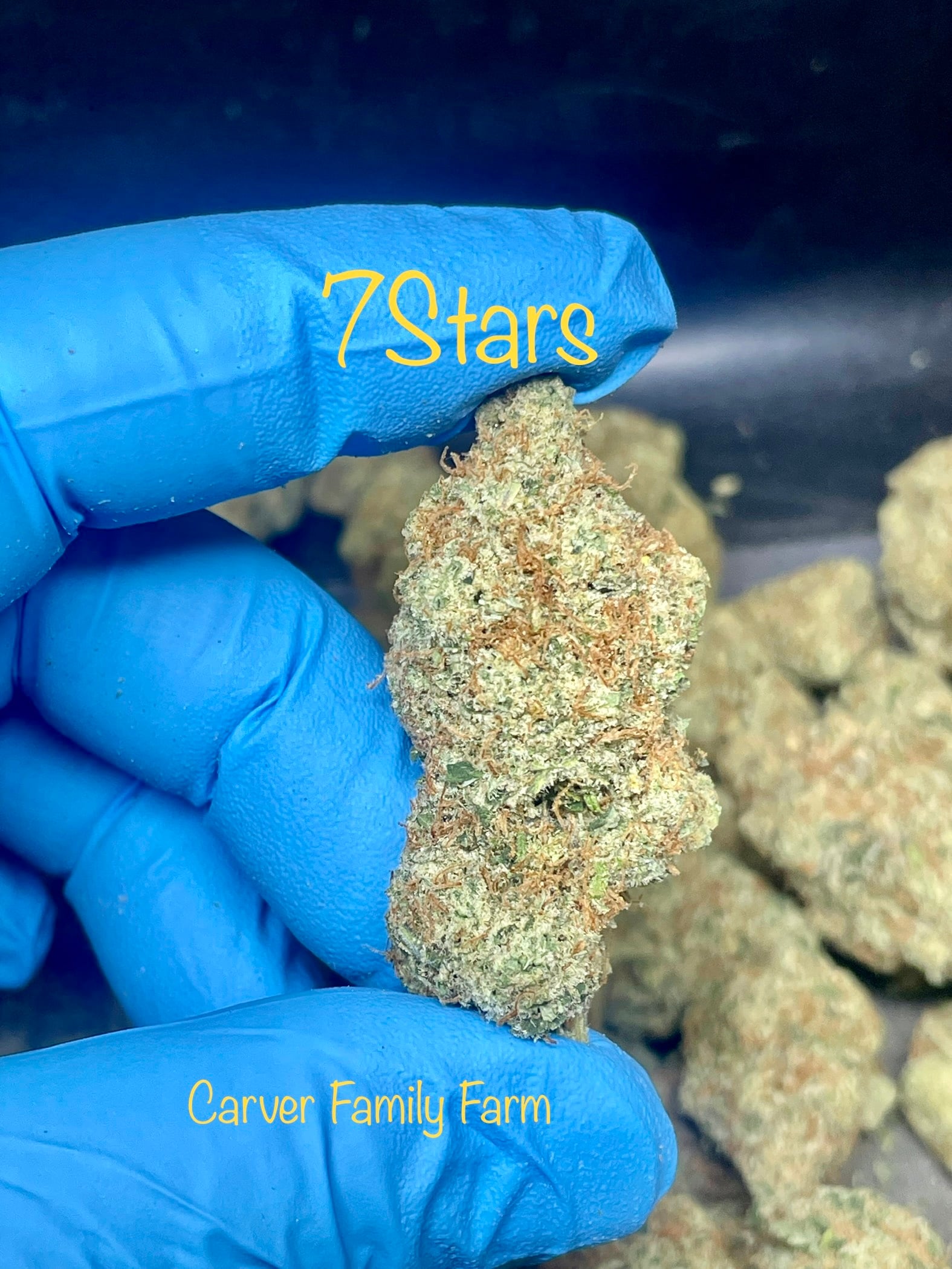 7 Star
