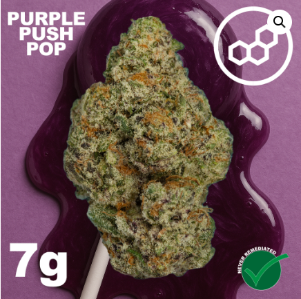 Purple Push P Flower | T21.78 | 41168 | 7g "