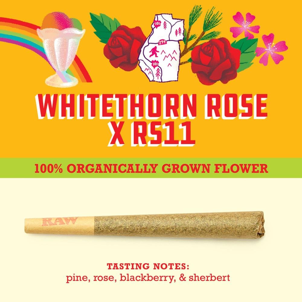 Paper Crane - Whitethorn Rose x RS11 Pre-Roll (1g)