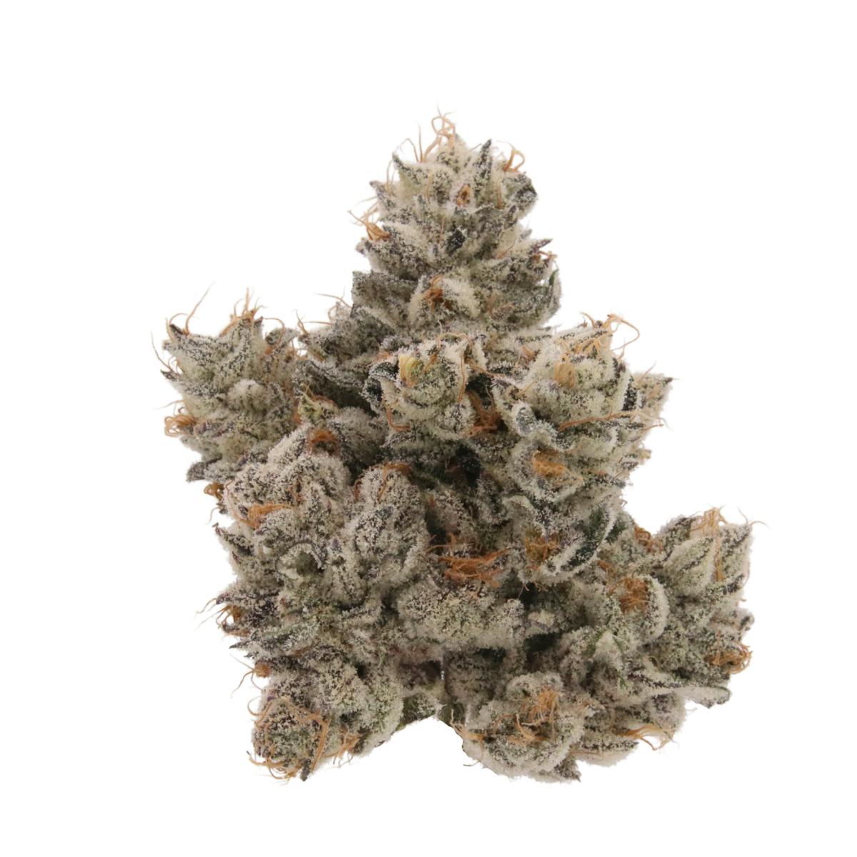 Pink Guava