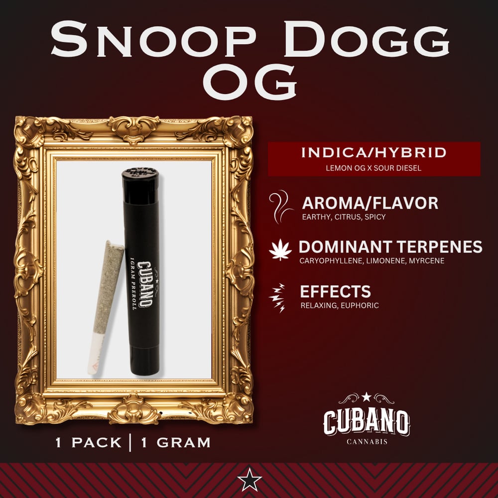 SDG OG [1g]