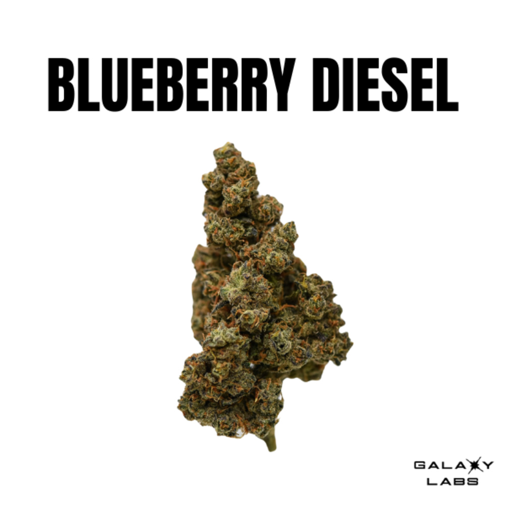 Blueberry Diesel [1g]