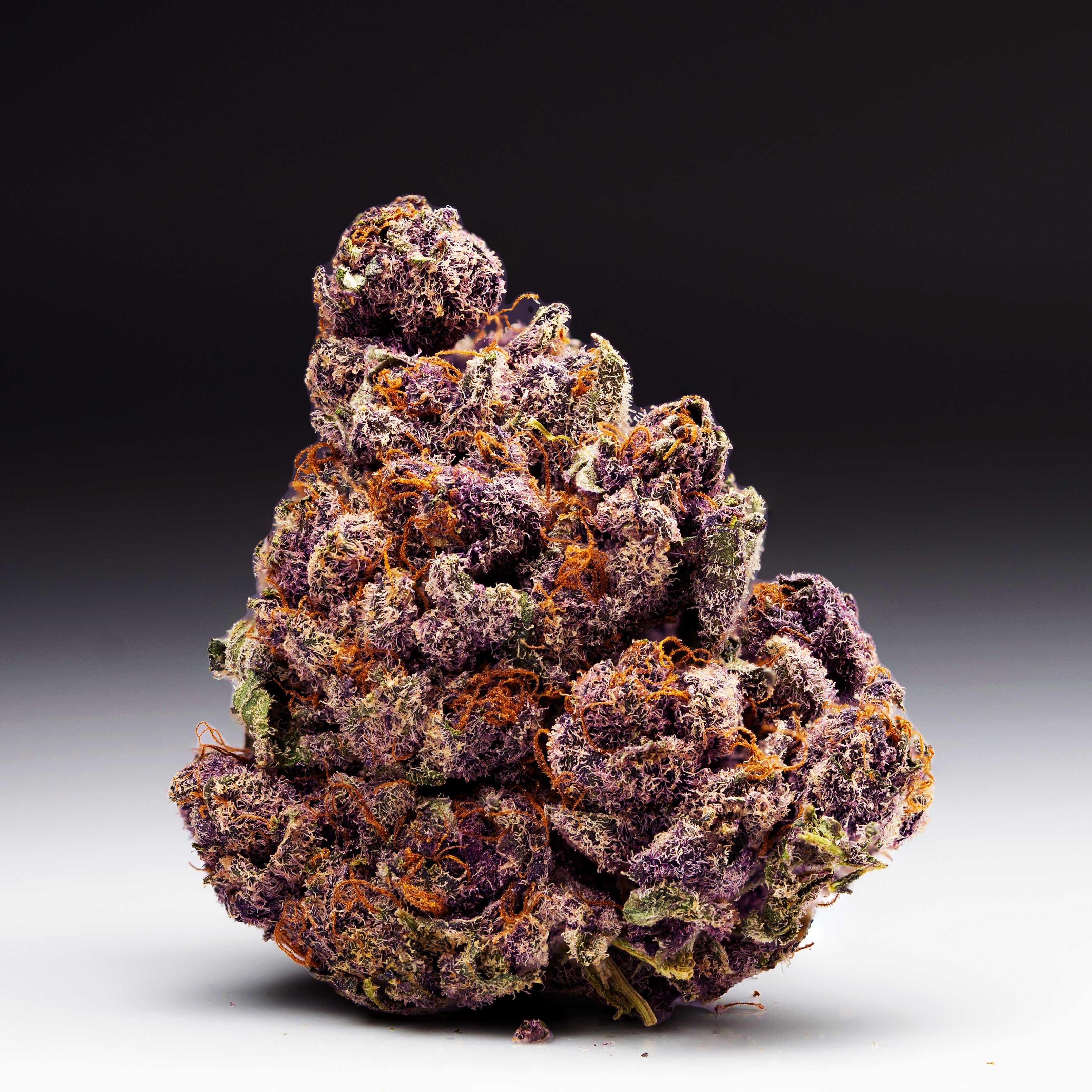Tropicana Cherry #8
