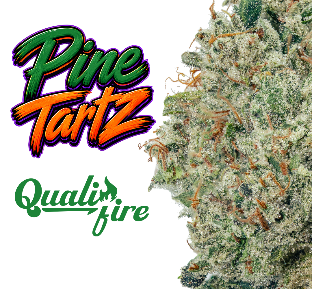 Pine Tartz