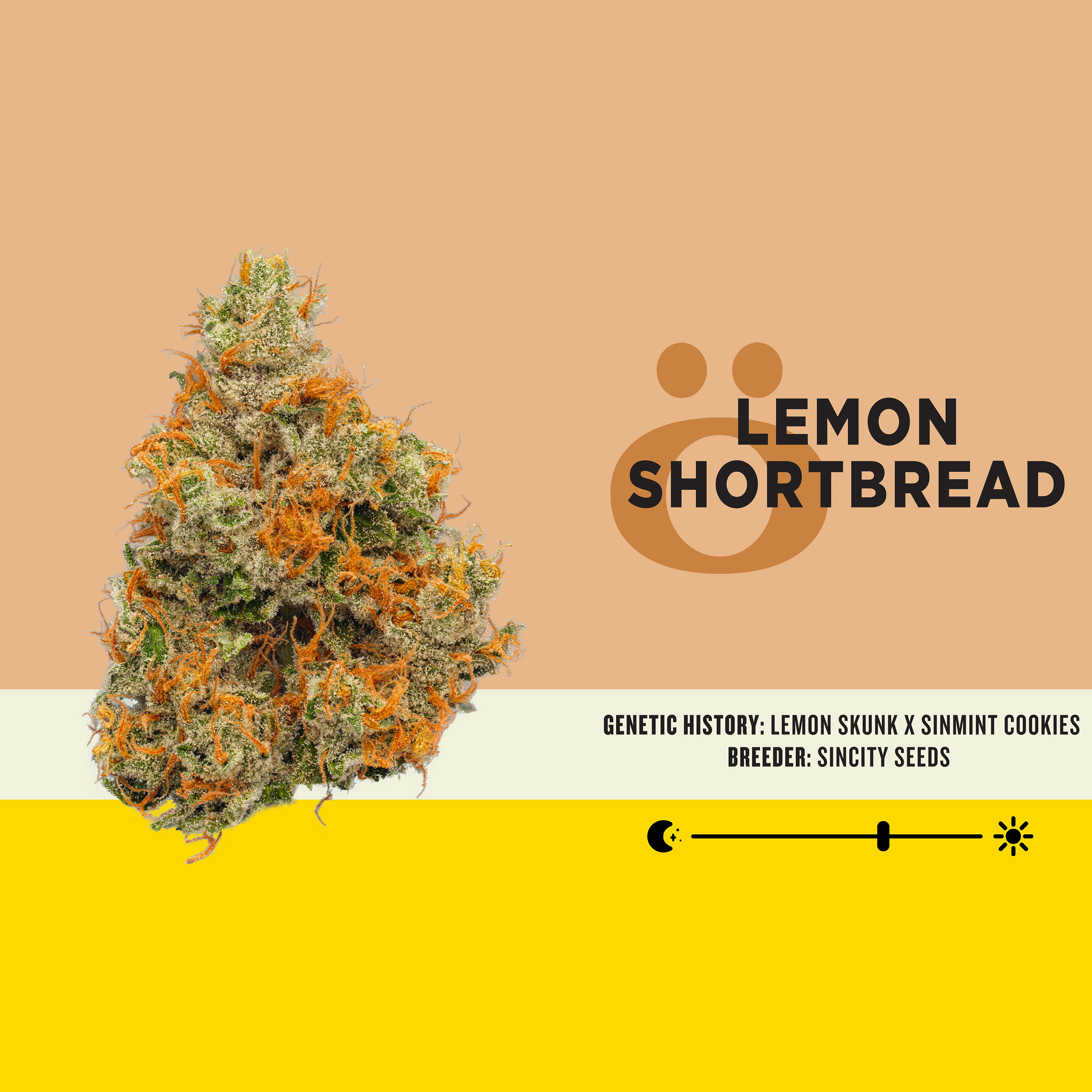 Lemon Shortbread
