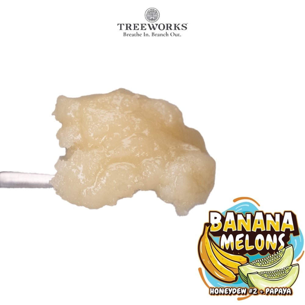 Treeworks  Banana Melons Live Rosin