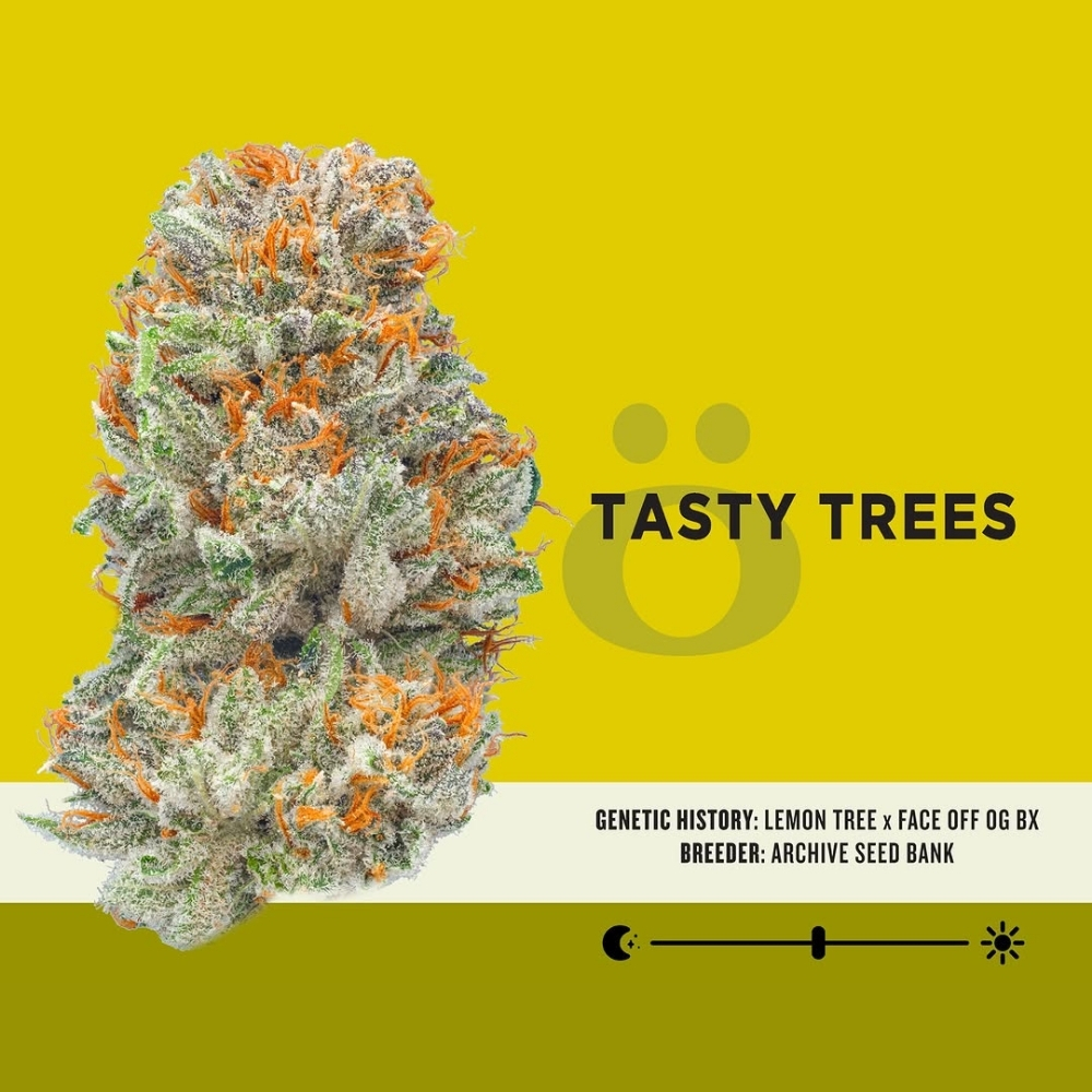 Tasty Tree's