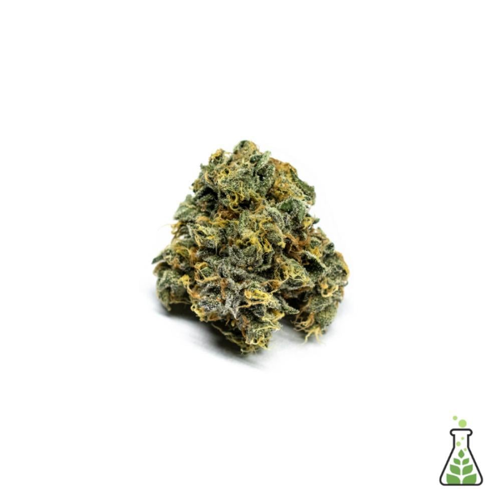 Sanctuary - ZMints 11 Flower Sanctuary - ZMints 11 Flower