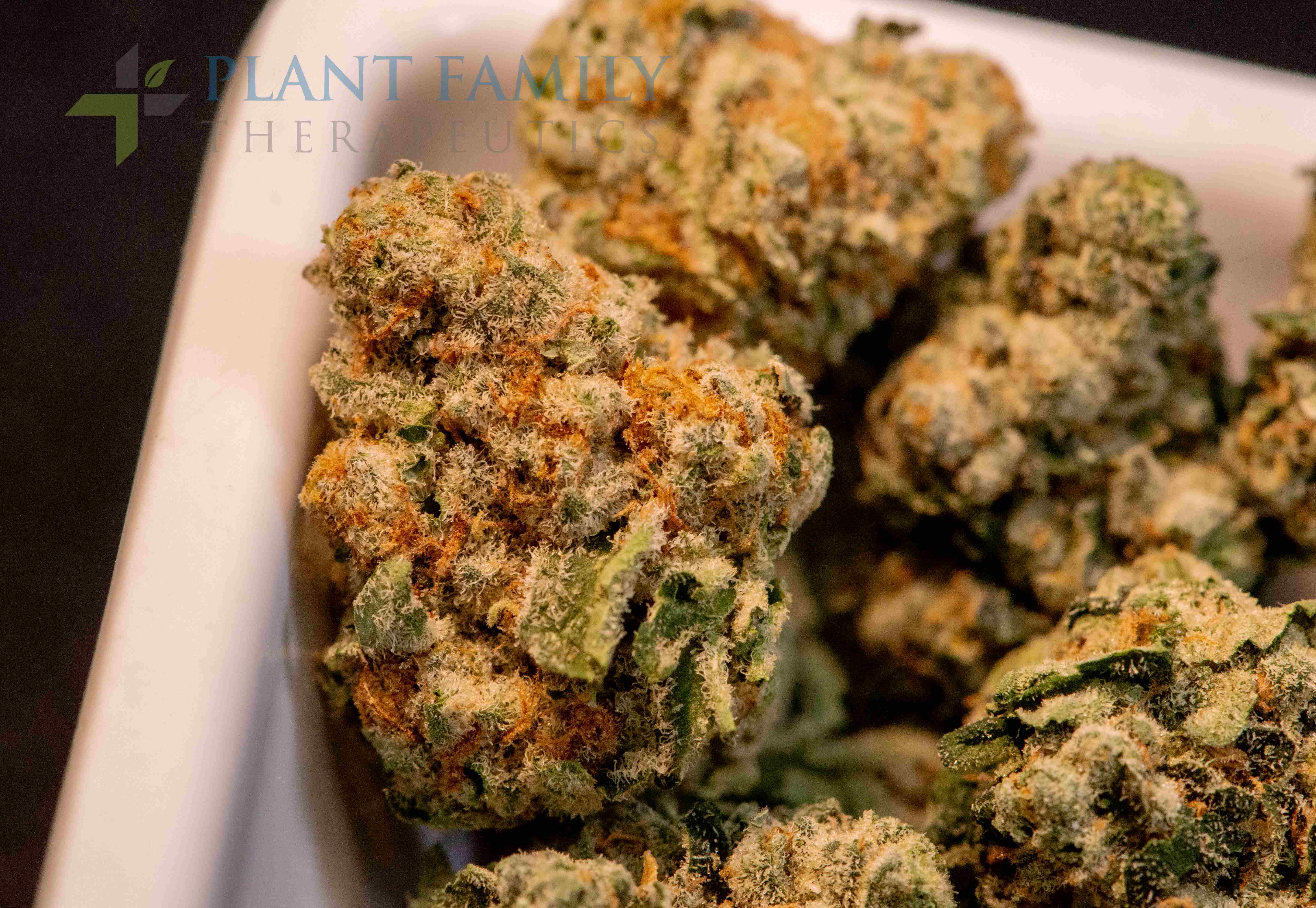 Shop Jet Fuel | Plant Family Therapeutics Dispensary Mountain Home, AR