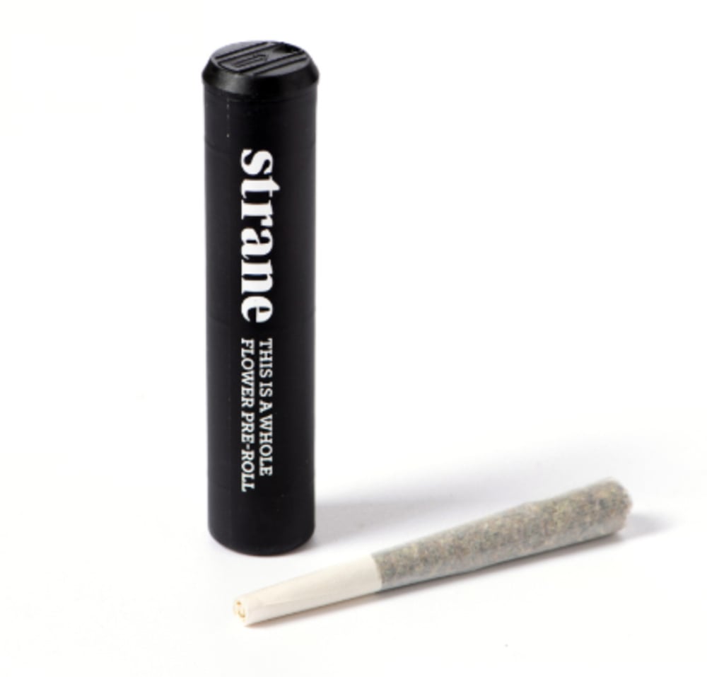 Frosted Jungle [.5g]